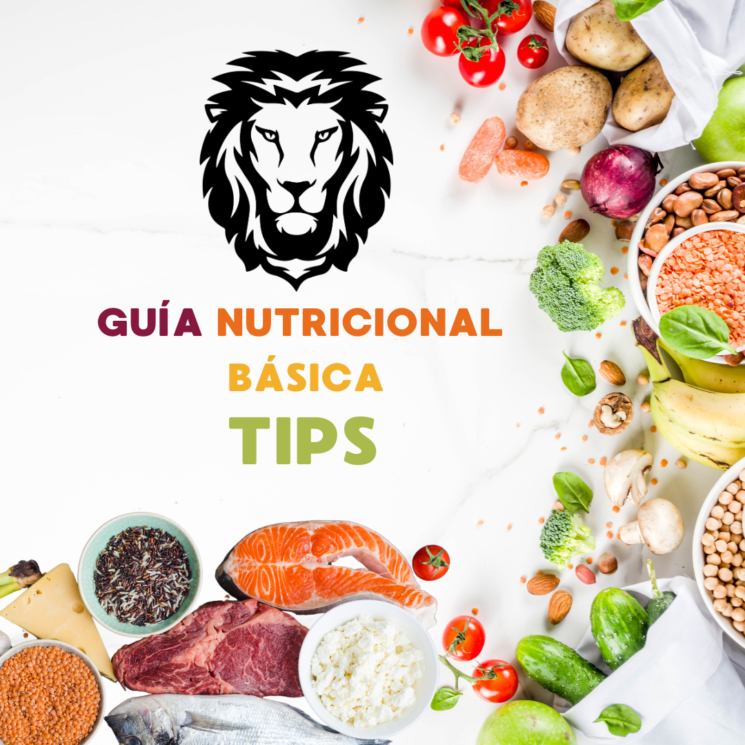 GUÍA NUTRICIONAL BÁSICA